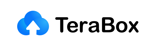 TeraBox 導入・運用