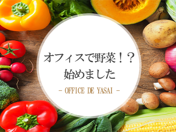 Introduction of YASAI in the office